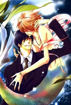 Bìa truyện Junketsu Ningyo Series