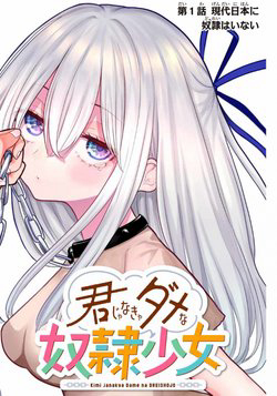 Bìa truyện Kimi janakya Dame na Dorei Shoujo